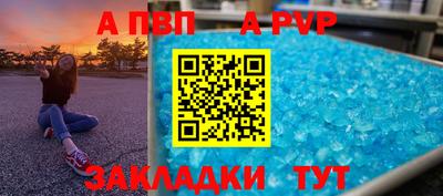 индика Гатчина