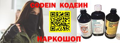 индика Гатчина