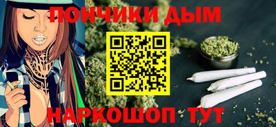 индика Гатчина
