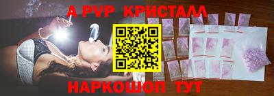 индика Гатчина