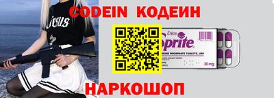 индика Гатчина