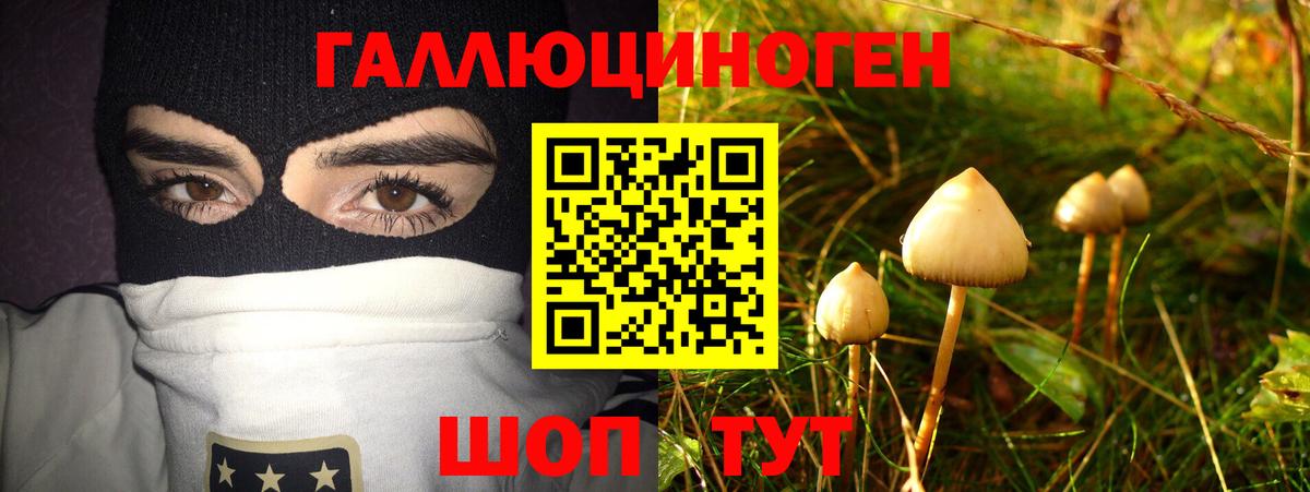 Янаул  Галлюциногенные грибы Psilocybine cubensis  Вход с VPN 